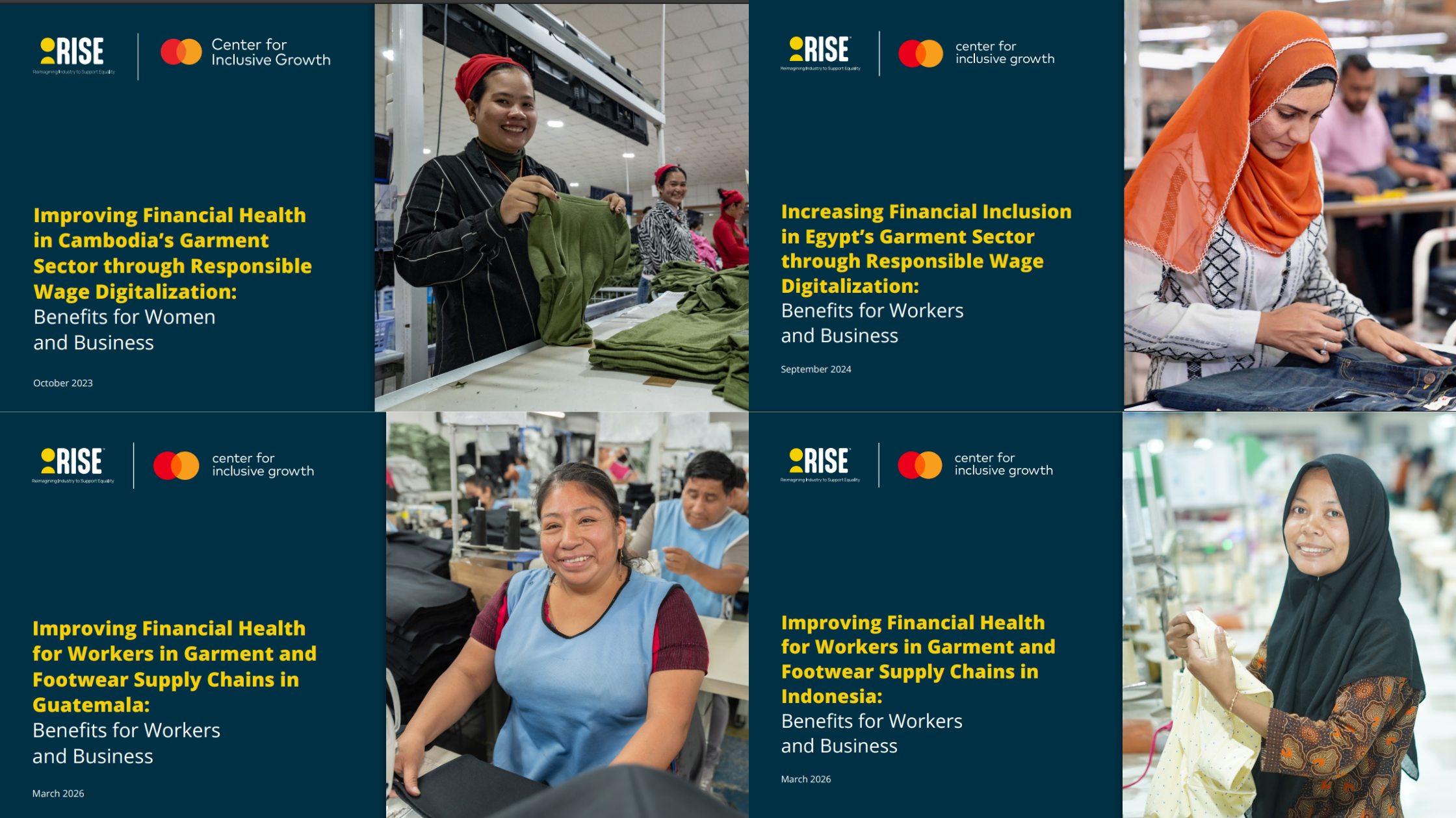 Read RISE country-specific financial health reports Image